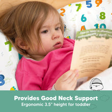 Load image into Gallery viewer, Toddler Pillow with Pillowcase (Dino123)
