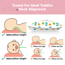 Load image into Gallery viewer, Toddler Pillow with Pillowcase (Dino123)
