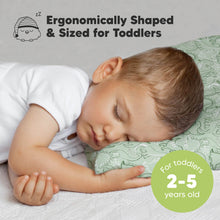 Load image into Gallery viewer, Toddler Pillow with Pillowcase (DinoDood)
