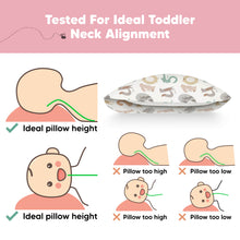 Load image into Gallery viewer, Toddler Pillow with Pillowcase (Wild Count)
