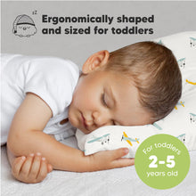 Load image into Gallery viewer, Jumbo Toddler Pillow with Pillowcase (Plane)
