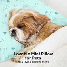 Load image into Gallery viewer, Mini Toddler Pillow With Pillowcase (Polar)
