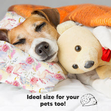 Load image into Gallery viewer, Toddler Pillow with Pillowcase (Fantasy)
