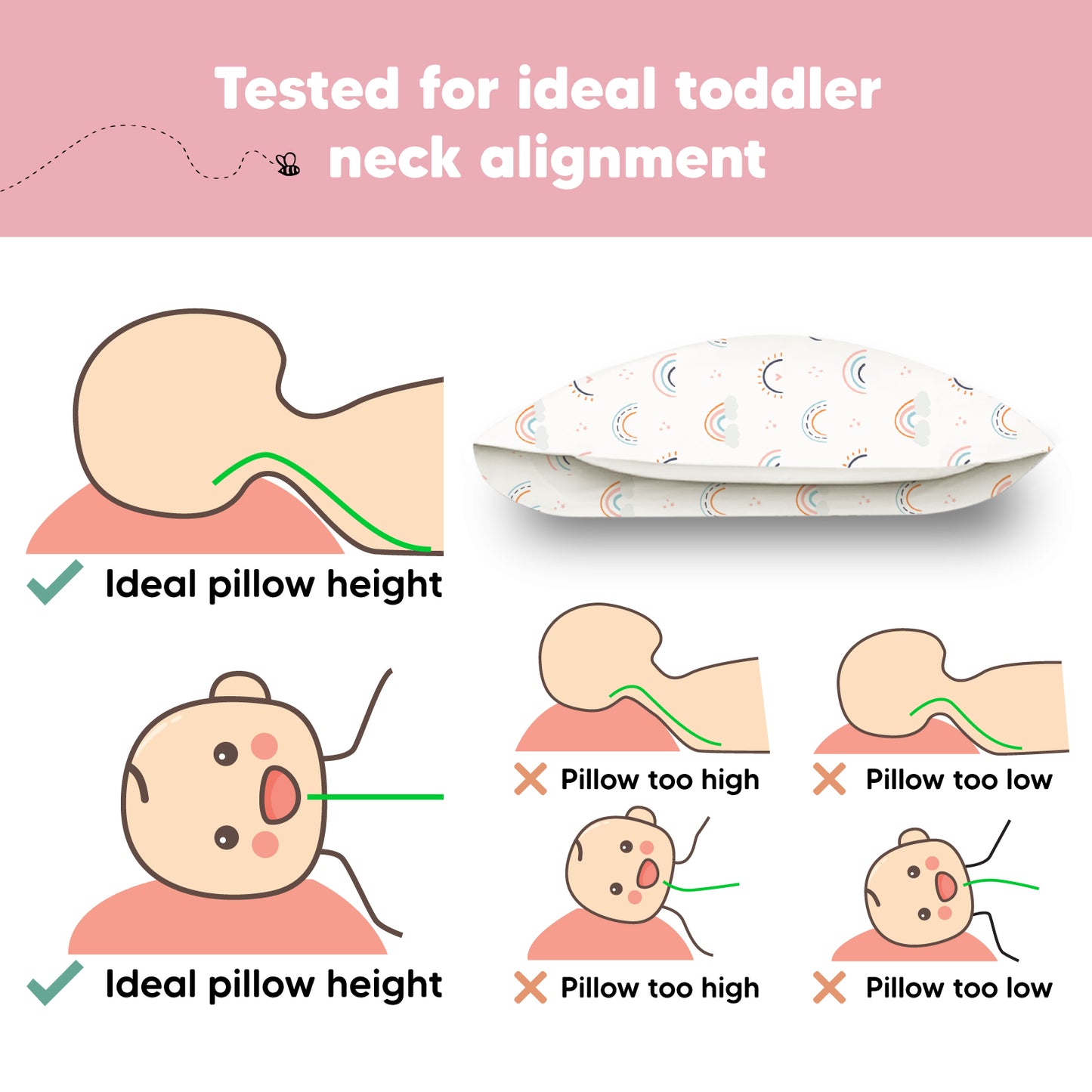 Tested for ideal toddler neck alignment with a balanced height that is neither too high nor too low.
 24648160018618
