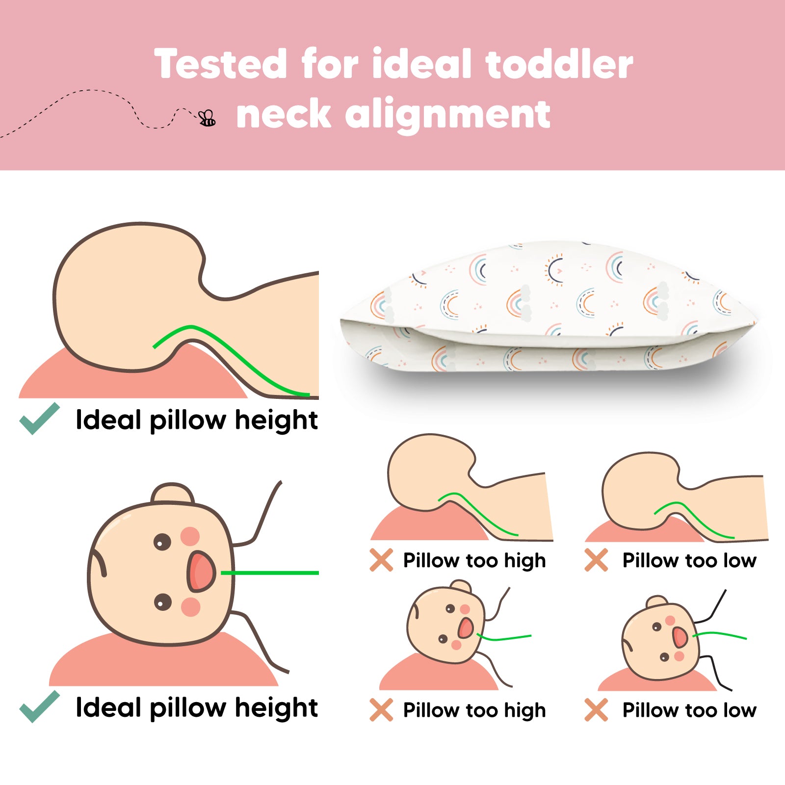 Tested for ideal toddler neck alignment with a balanced height that is neither too high nor too low.
 24648160018618